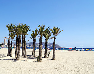 Image showing Poniente beach in Benidorm