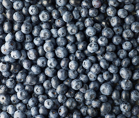 Image showing background of fresh blueberries