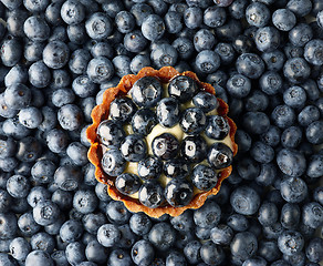 Image showing blueberry tart on fresh blueberries background