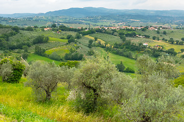 Image showing beautiful scenery landscape in the Marche Italy