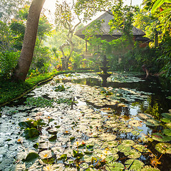 Image showing Ornamental pond and fountain in a garden in Bali