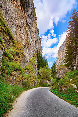 Image showing Road in Rhodope Mountains