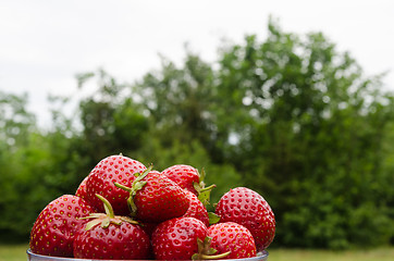 Image showing Fresh strawberries in a bowl outdoors