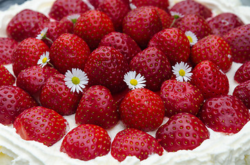 Image showing Fresh strawberry cake closeup