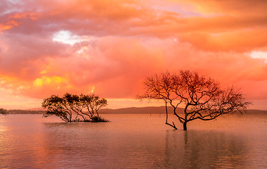 Image showing Sunset and storm clouds over mangroves