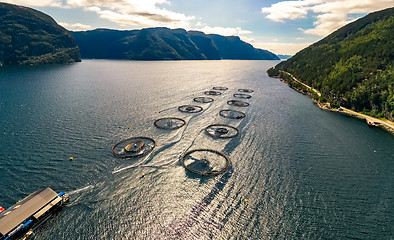 Image showing Farm salmon fishing in Norway