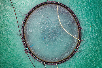 Image showing Farm salmon fishing in Norway