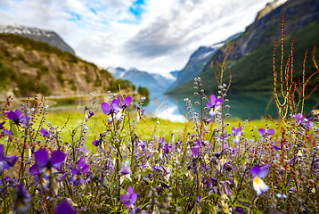 Image showing lovatnet lake Beautiful Nature Norway.