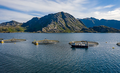 Image showing Farm salmon fishing in Norway