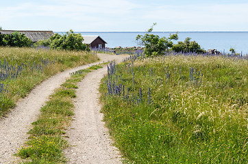 Image showing Beautiful gravel road to the coast in summer season