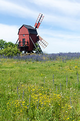 Image showing Yellow and blue summer flowers by an old traditional windmill at