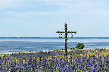 Image showing Maypole in a blossom blue field by the coast in Sweden