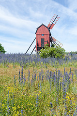 Image showing Summer flowers by an old wooden windmill