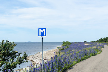 Image showing Passing place by a blossom roadside with blue flowers