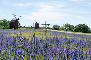 Image showing Maypole in a blue field at the swedish island Oland