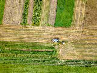 Image showing Panoramic view of combine harvester reaps a crop in the field. Top view from drone.