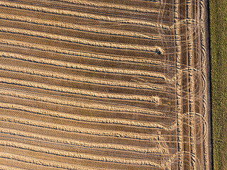 Image showing Aerial view of the field after harvest. Rows of straw on an agricultural field. Ecological biofuel and fertilizer for work in the field.