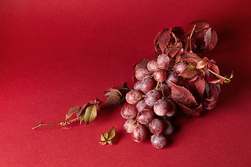 Image showing bunch of ripe red grapes
