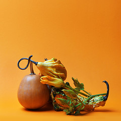 Image showing composition of decorative pumpkins