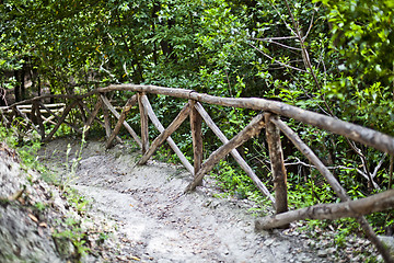 Image showing Walkway lane path with handrail in green trees in summer forest.