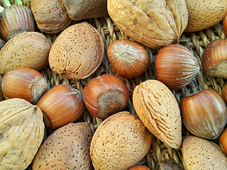 Image showing Mix of different types nuts