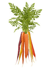 Image showing Colorful Rainbow carrots on white background
