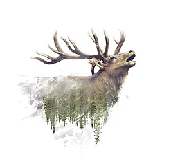 Image showing Deer and Forest. Watercolor Double Exposure effect on white back