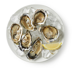 Image showing plate of fresh oysters on white background