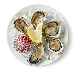 Image showing plate of fresh oysters on white background