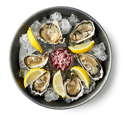 Image showing plate of fresh oysters on white background