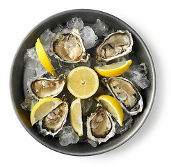 Image showing plate of fresh oysters on white background