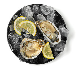 Image showing plate of fresh oysters on white background