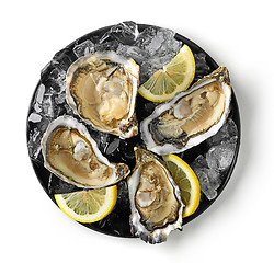 Image showing plate of fresh oysters on white background