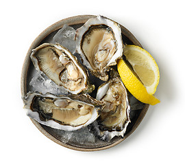 Image showing plate of fresh oysters on white background