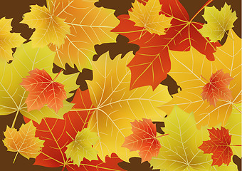 Image showing Beautiful autumn leaves