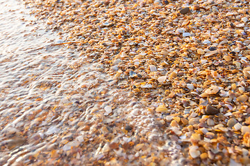 Image showing The wave washes small multi-colored sea shells on the sea beach