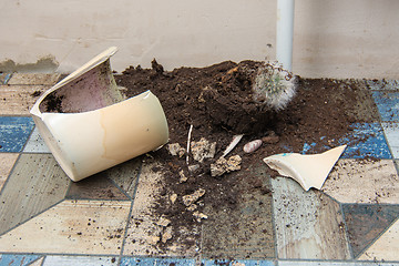 Image showing Broken fallen pot and dead cactus