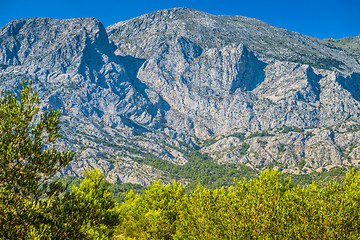 Image showing Biokovo mountain nature park and trees from Makarska Riviera, Dalmatia