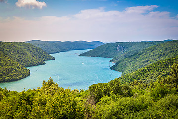 Image showing Limski Canal also called Limski Fjord in Istria near Rovinj. Adriatic Sea, Croatia.