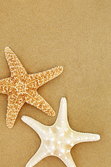 Image showing Starfish Seashells on Sand