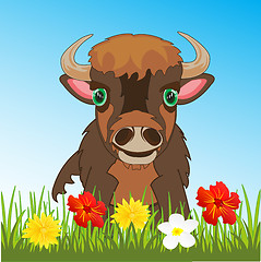 Image showing Ungulate animal bison on green meadow with flower