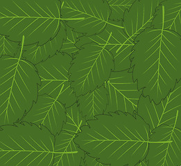 Image showing Colorful decorative background from green year foliage