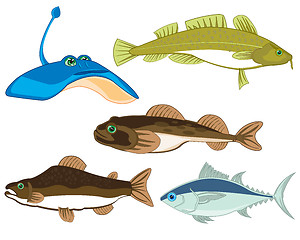 Image showing Vector illustration sea and seagoing commercial fish