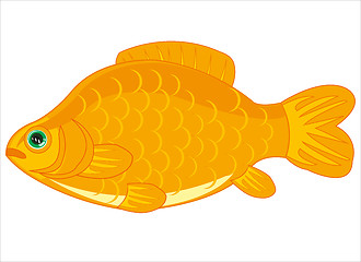 Image showing Fish carp on white background is insulated