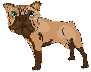 Image showing Vector illustration pets dogs of the sort bulldog