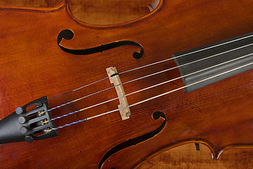 Image showing cello or violin