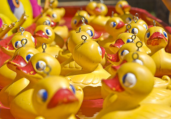 Image showing lots of rubber ducks