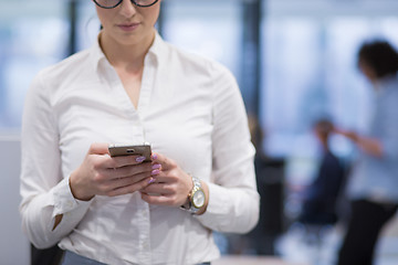 Image showing Elegant Woman Using Mobile Phone in startup office building