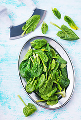 Image showing spinach