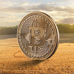 Image showing Gold coin bitcoin on a background of a field